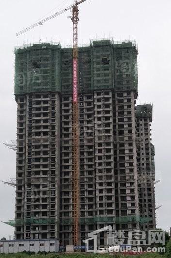 天洲铂悦实景图