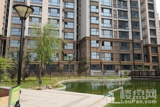 祥云·岸芷汀兰实景图