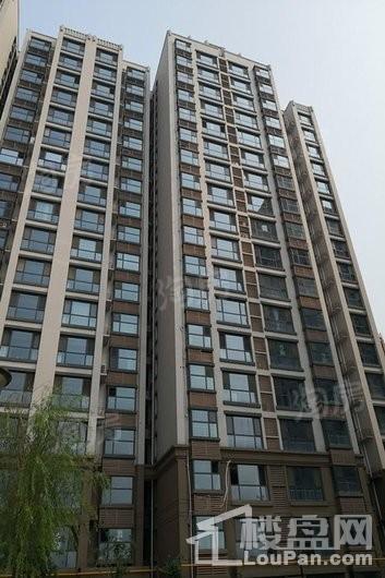 祥云·岸芷汀兰实景图