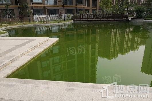 祥云·岸芷汀兰实景图