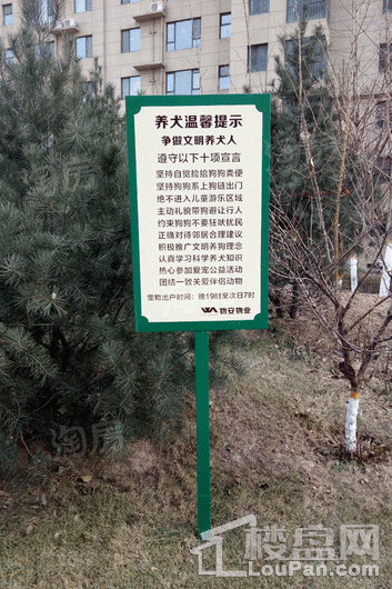 绿朗时光实景图