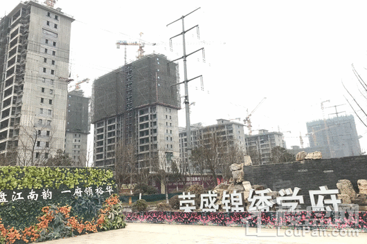 实景图