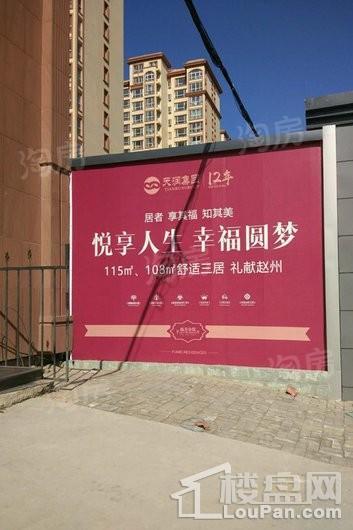 实景图