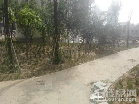 盛世御城实景图