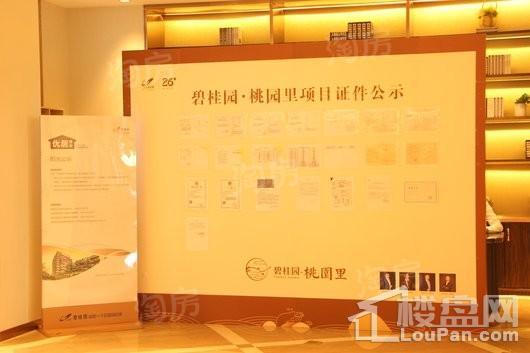 碧桂园桃园里实景图