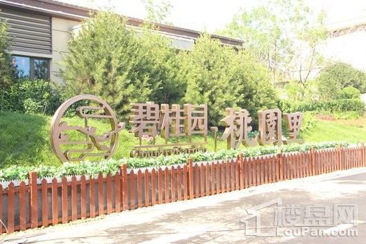 碧桂园桃园里实景图