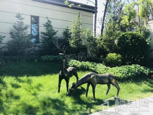 碧桂园桃园里实景图