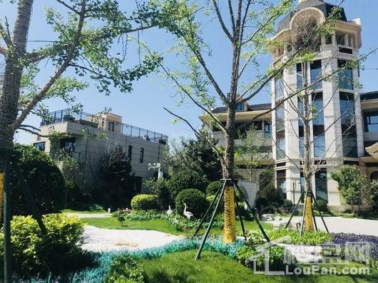 碧桂园桃园里实景图