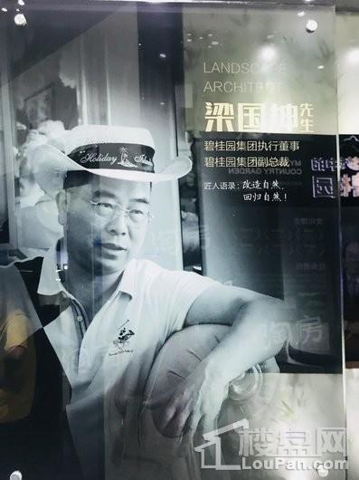 碧桂园桃园里实景图