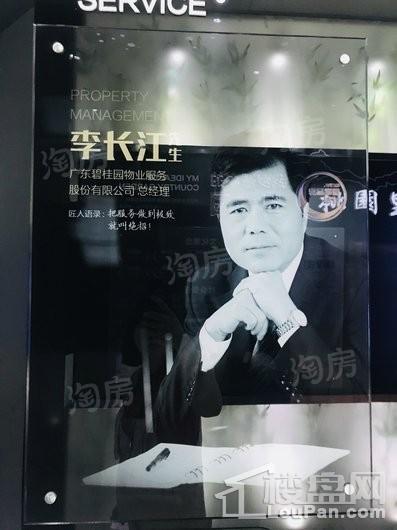 碧桂园桃园里实景图