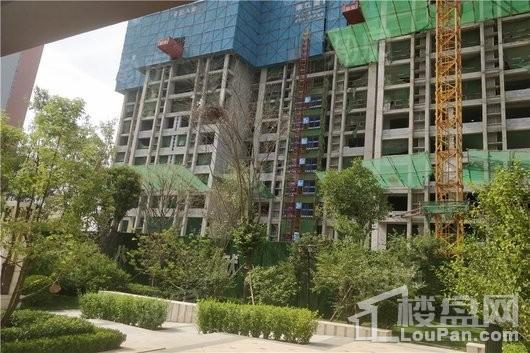润江紫宸院实景图