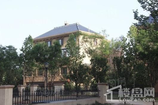 滨河江山墅实景图