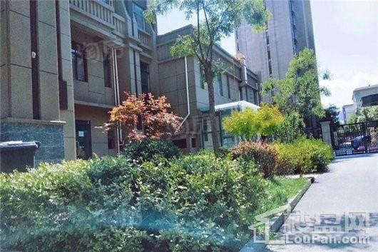 鹿城一号实景图