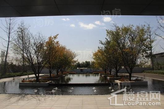 磊阳湖畔实景图
