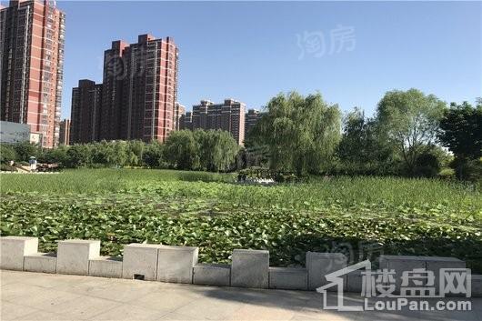 效果图