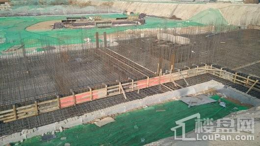 福临名邸实景图