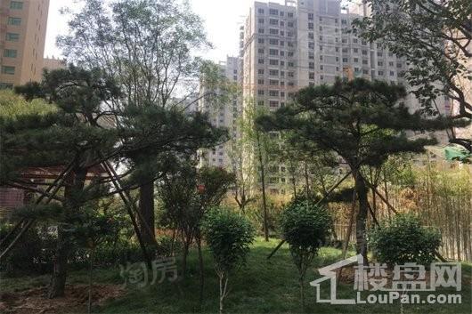 盛紫中央公园实景图