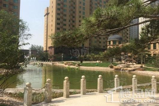 盛紫中央公园实景图