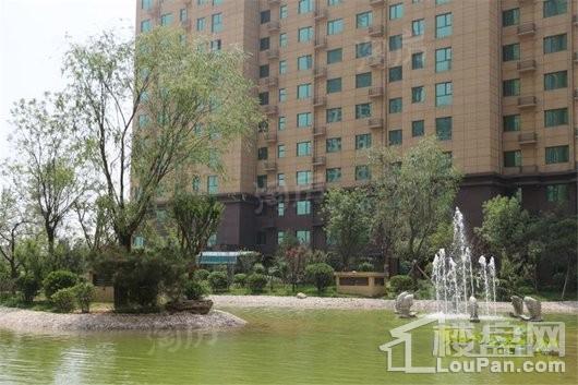 盛紫中央公园实景图