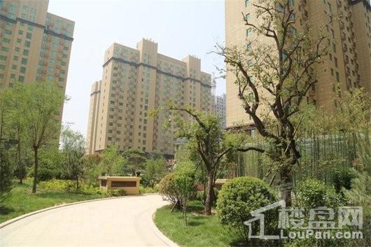 盛紫中央公园实景图