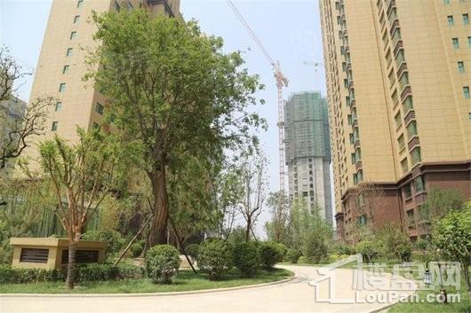 盛紫中央公园实景图