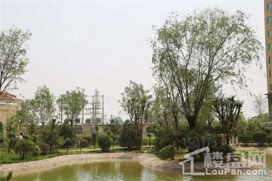 盛紫中央公园实景图