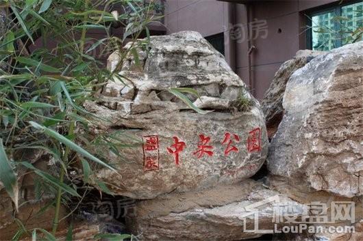 盛紫中央公园实景图