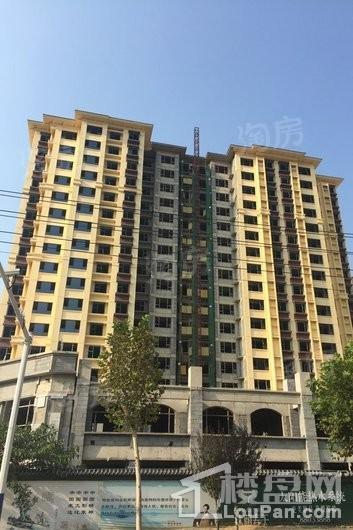 林荫春天实景图