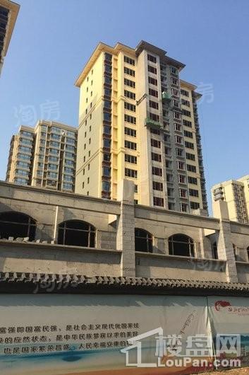 林荫春天实景图