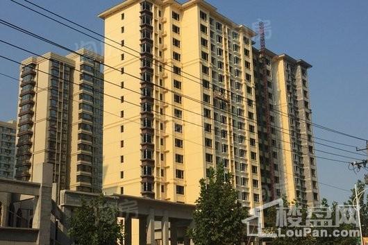 林荫春天实景图