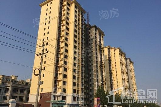 林荫春天实景图