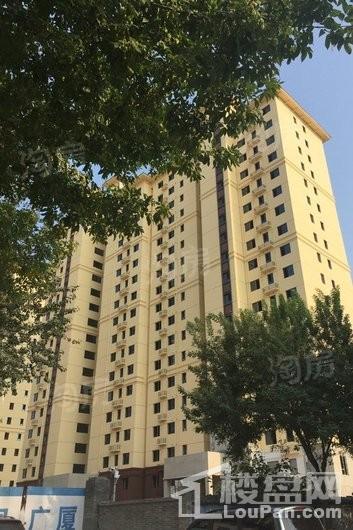 林荫春天实景图