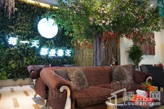 林荫春天实景图