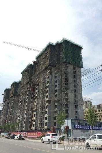 林荫春天实景图