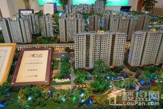 林荫春天实景图