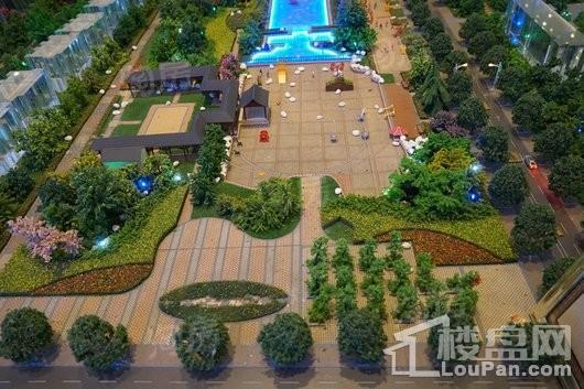 林荫春天实景图