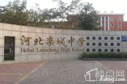 林荫春天配套图