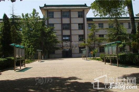 林荫春天配套图