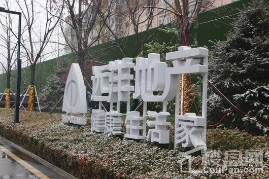 实景图