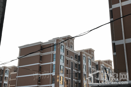 丰泽家园实景图