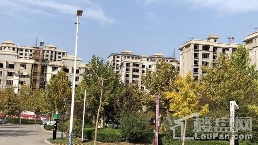 旅投福美十号院实景图