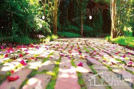 玫瑰湾金街效果图