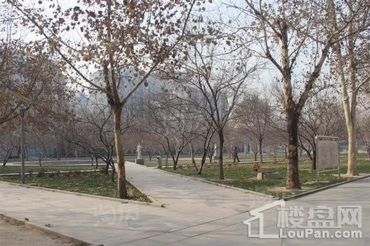 玫瑰湾金街配套图