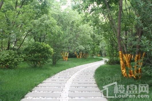 润江翡丽公馆实景图