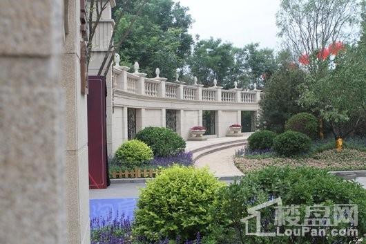 润江翡丽公馆实景图