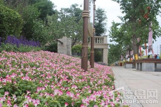 润江翡丽公馆实景图