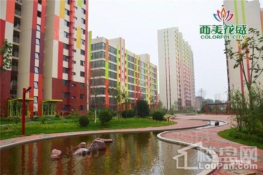 西美花盛实景图
