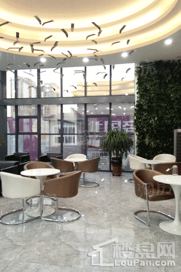 海纳光合谷实景图