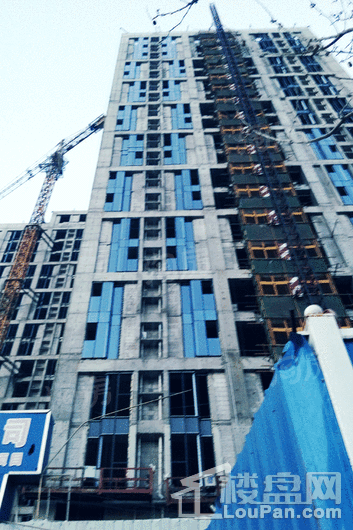 海纳光合谷实景图