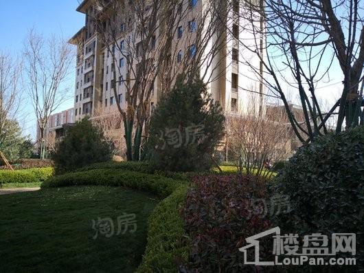 唐宫原著实景图
